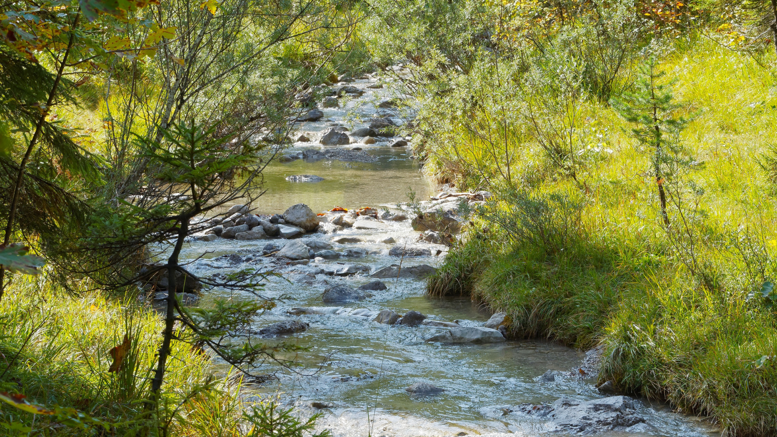 High mountain rivers and streams