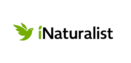 We are on the iNaturalist platform!