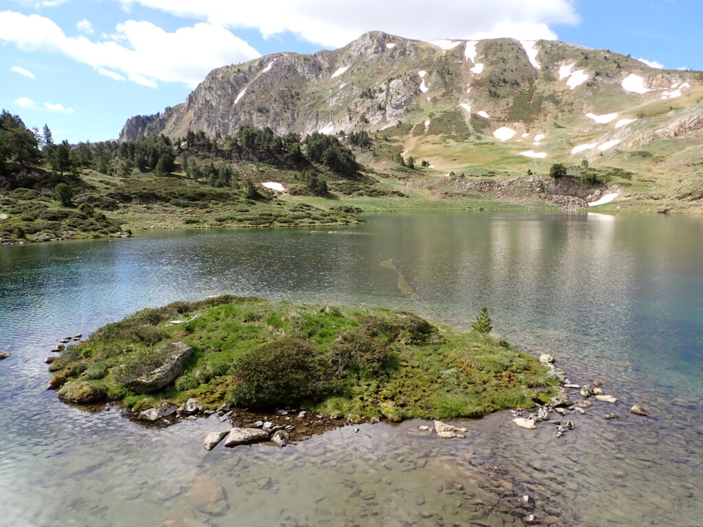 High Mountain Wetlands: Spaces That Need to Be Managed