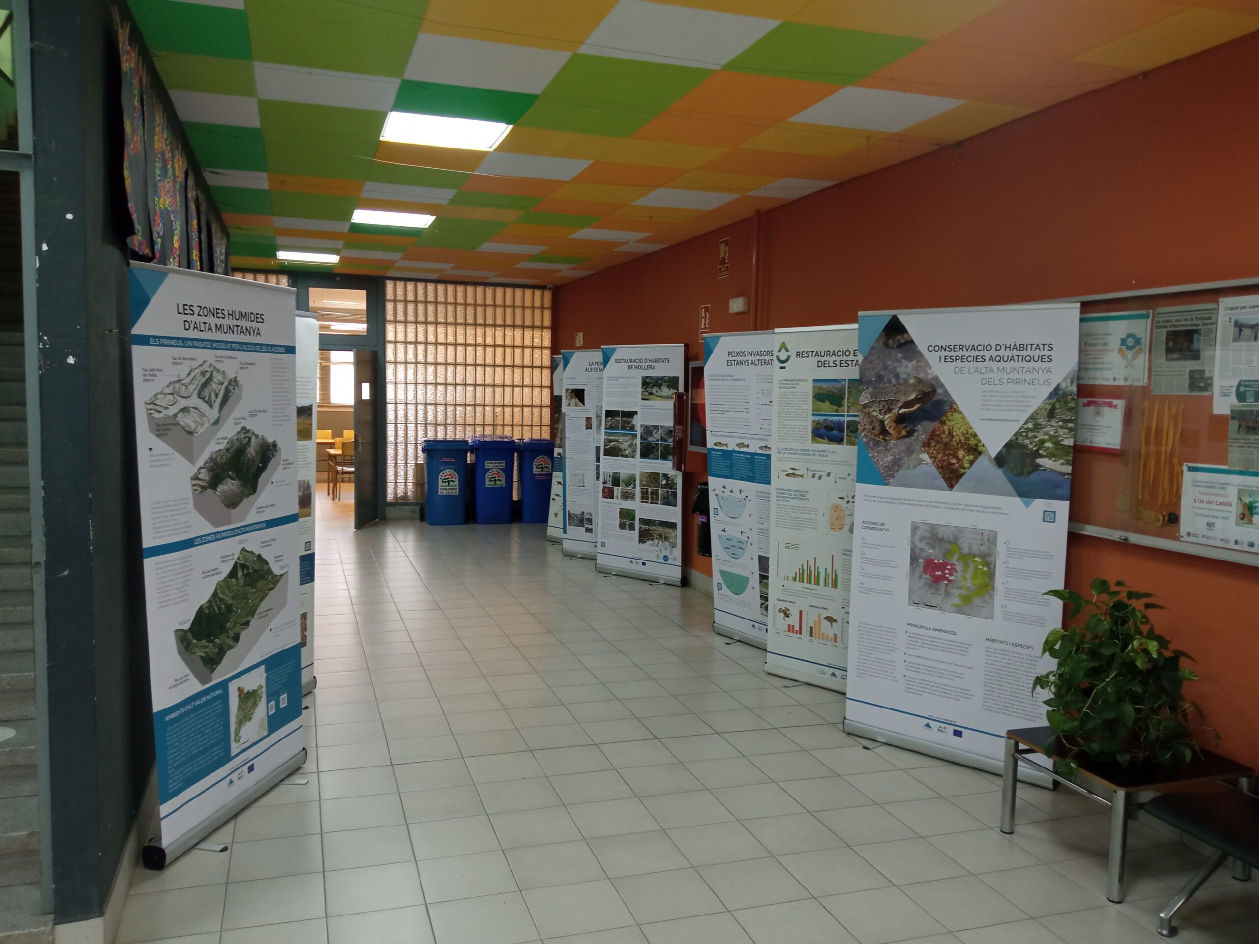 The LimnoPirineus Exhibition Arrives at IES Rubió i Ors